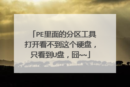 PE里面的分区工具打开看不到这个硬盘，只看到U盘，囧~~