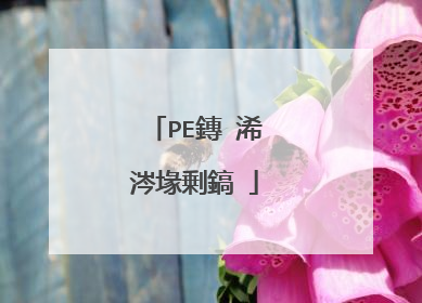 PE鏄�浠�涔堟剰鎬�