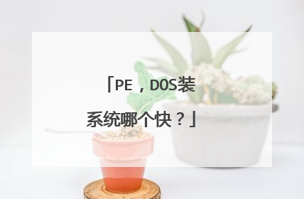 PE,DOS装系统哪个快?