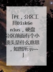 PE,分区工具DiskGenius,硬盘分区前面有个小锁头是什么意思,如图所示~~
