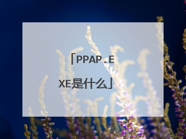 PPAP.EXE是什么