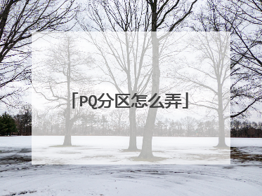 PQ分区怎么弄
