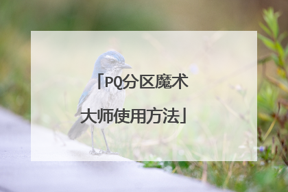 PQ分区魔术大师使用方法