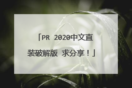 PR 2020中文直装破解版 求分享!