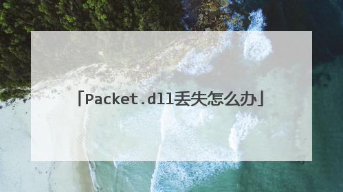 Packet.dll丢失怎么办