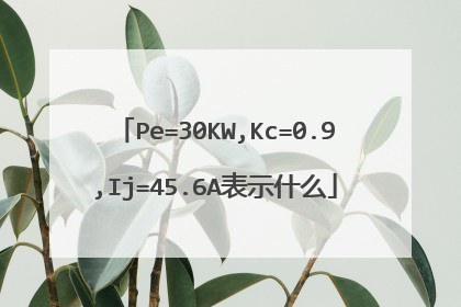 Pe=30KW,Kc=0.9,Ij=45.6A表示什么