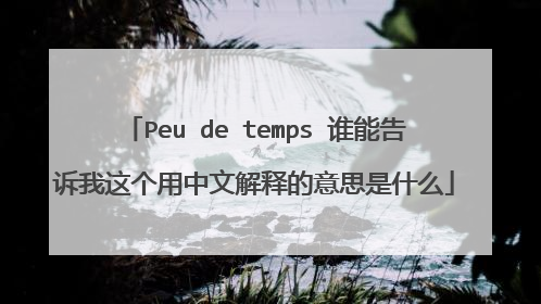 Peu de temps 谁能告诉我这个用中文解释的意思是什么