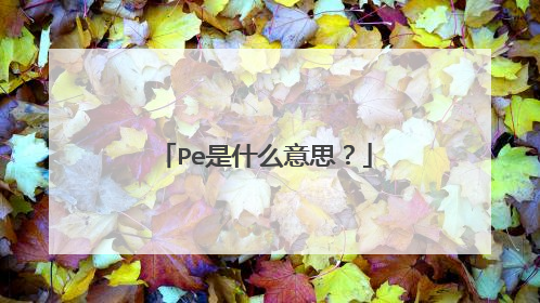 Pe是什么意思？