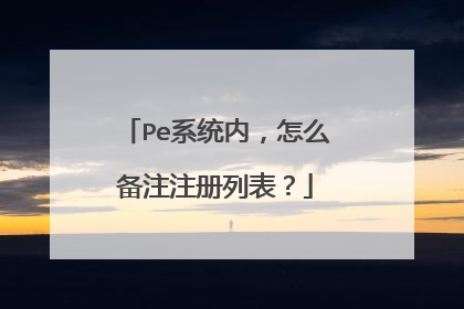 Pe系统内,怎么备注注册列表?