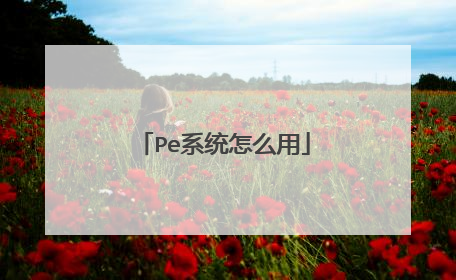 Pe系统怎么用