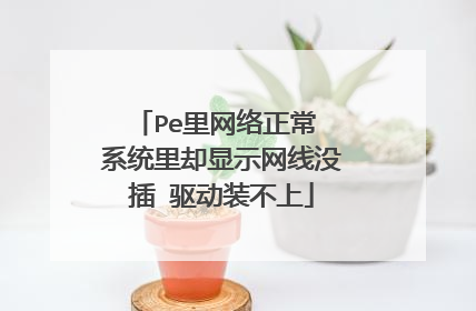 Pe里网络正常 系统里却显示网线没插 驱动装不上