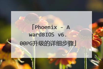 Phoenix - AwardBIOS v6.00PG升级的详细步骤