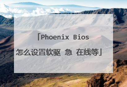 Phoenix Bios怎么设置软驱 急 在线等