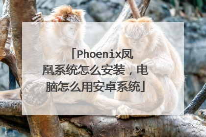 Phoenix凤凰系统怎么安装,电脑怎么用安卓系统