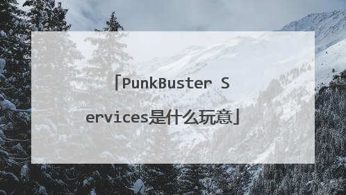 PunkBuster Services是什么玩意