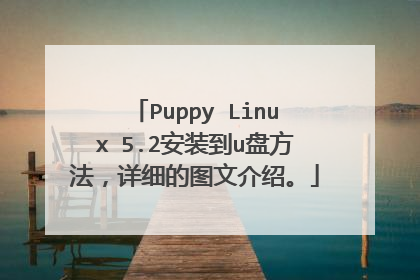 Puppy Linux 5.2安装到u盘方法,详细的图文介绍。
