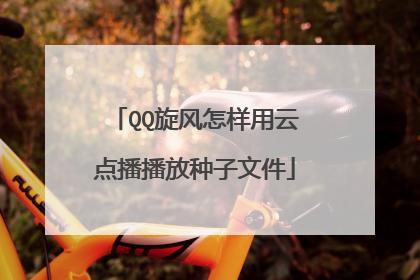 QQ旋风怎样用云点播播放种子文件