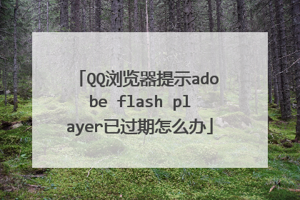 QQ浏览器提示adobe flash player已过期怎么办