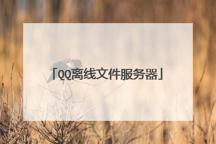 QQ离线文件服务器