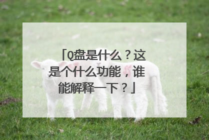 Q盘是什么?这是个什么功能,谁能解释一下?