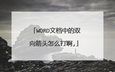 WORD文档中的双向箭头怎么打啊,