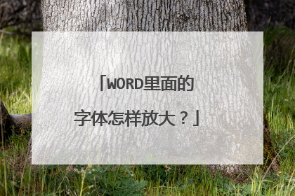 WORD里面的字体怎样放大?