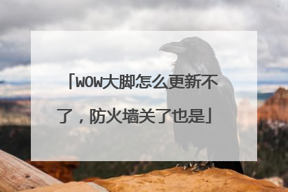 WOW大脚怎么更新不了,防火墙关了也是
