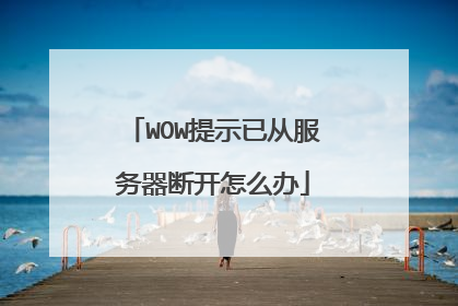 WOW提示已从服务器断开怎么办