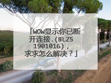 WOW显示你已断开连接.(BLZ51901016),求求怎么解决?
