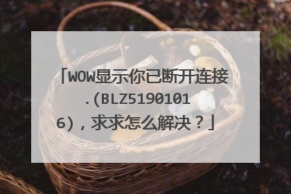 WOW显示你已断开连接.(BLZ51901016)，求求怎么解决？