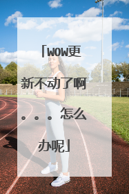 WOW更新不动了啊。。。怎么办呢