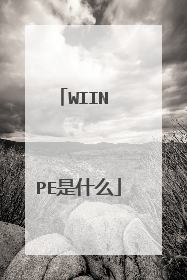 WIIN PE是什么
