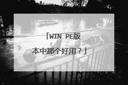 WIN PE版本中那个好用?