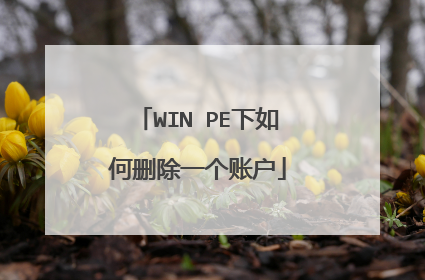 WIN PE下如何删除一个账户