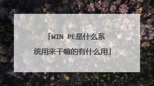 WIN PE是什么系统用来干嘛的有什么用