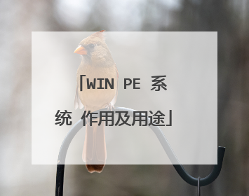 WIN PE 系统 作用及用途