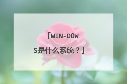 WIN-DOWS是什么系统?