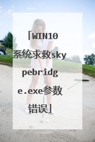 WIN10 系统求救skypebridge.exe参数错误