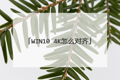 WIN10 4K怎么对齐