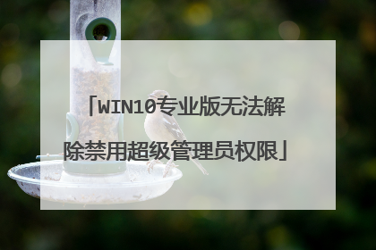 WIN10专业版无法解除禁用超级管理员权限