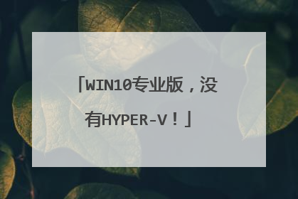 WIN10专业版，没有HYPER-V！