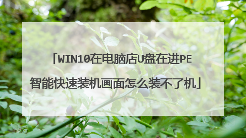 WIN10在电脑店U盘在进PE智能快速装机画面怎么装不了机