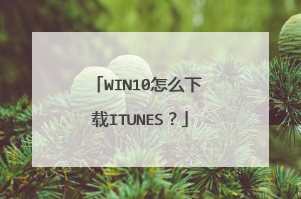 WIN10怎么下载ITUNES?