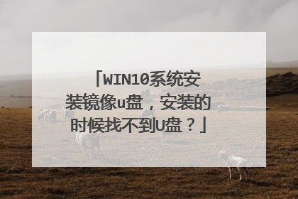WIN10系统安装镜像u盘,安装的时候找不到U盘?
