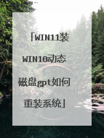 WIN11装WIN10动态磁盘gpt如何重装系统