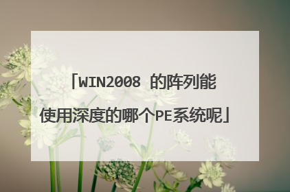 WIN2008 的阵列能使用深度的哪个PE系统呢