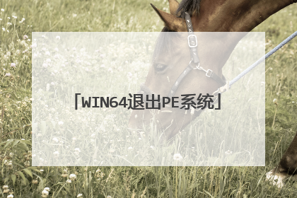 WIN64退出PE系统