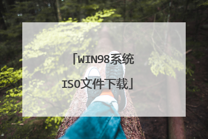 WIN98系统ISO文件下载