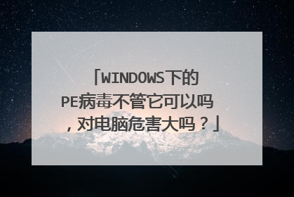 WINDOWS下的PE病毒不管它可以吗,对电脑危害大吗?