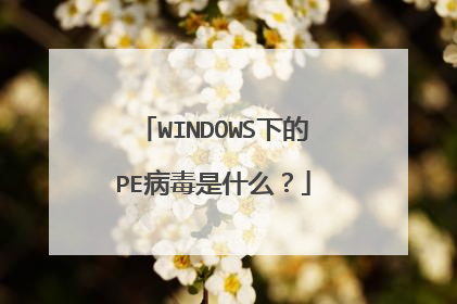 WINDOWS下的PE病毒是什么？